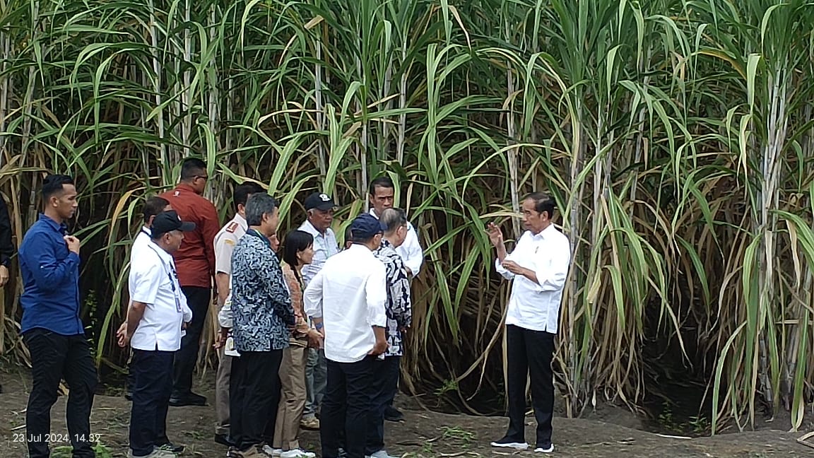 Presiden Jokowi Sebut Merauke Salah Satu Lumbung Pangannya Indonesia