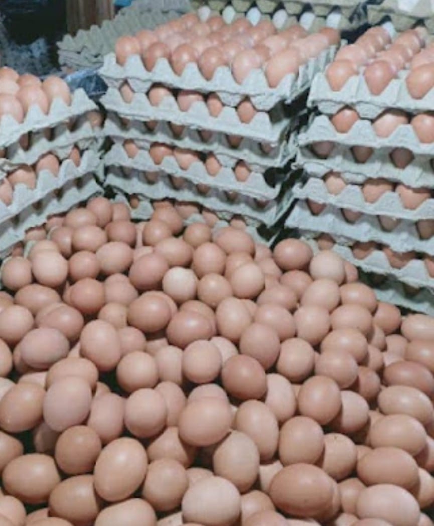 Atasi Lonjakan Harga, Pemrov Papua Selatan Datangkan 2 Ton Telur Luar