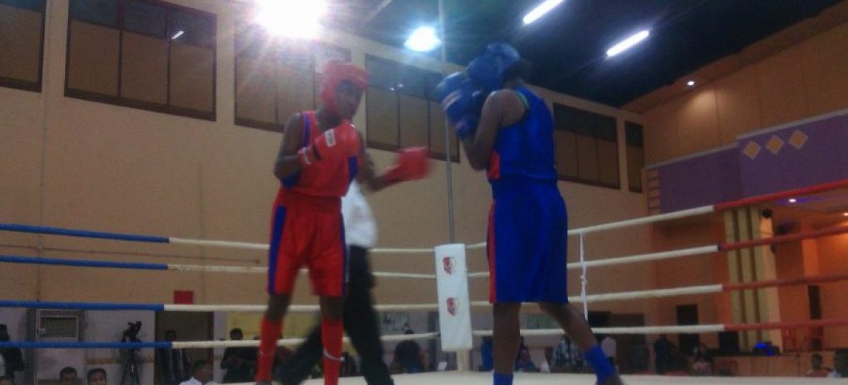 Puluhan Petinju Merauke Ikut Turnamen Tinju Amatir
