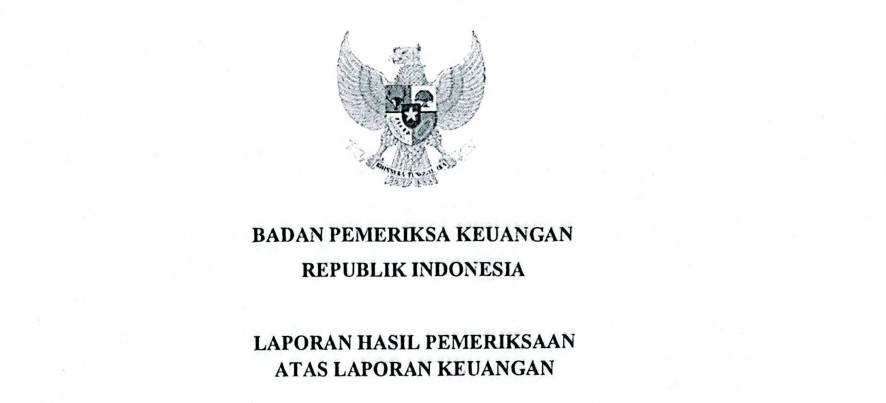 Laporan Hasil Pemeriksaan Atas Laporan Keuangan