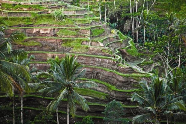Plakat UNESCO, Pengakuan Subak sebagai Warisan Dunia 2012