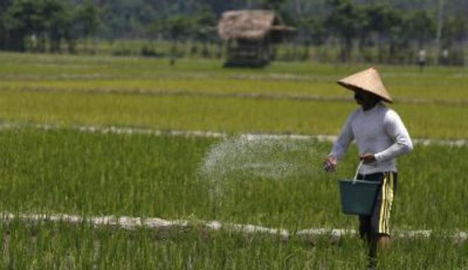 DPR: UU Pangan Menjawab Kekhawatiran OECD