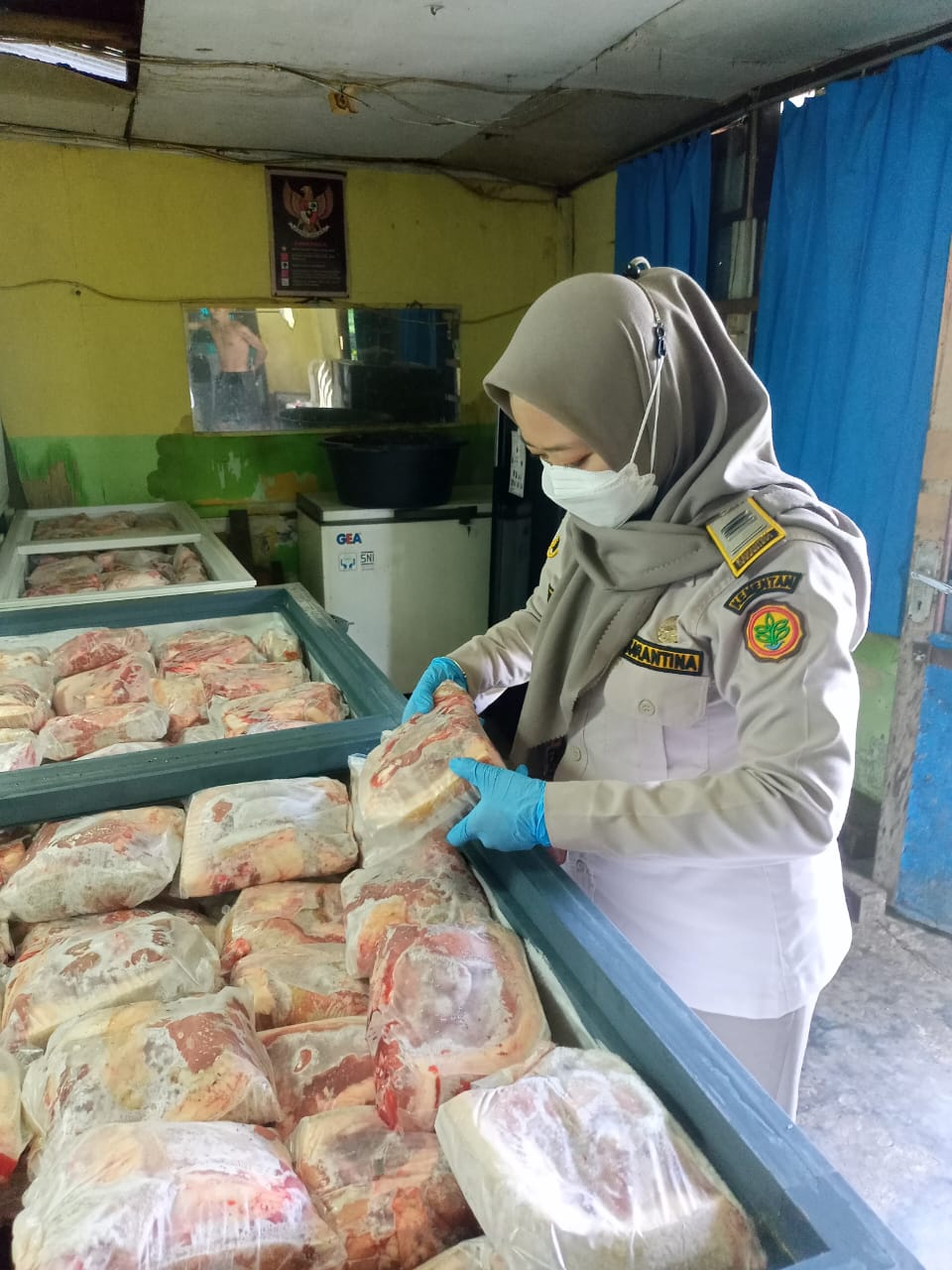 Karantina Papua Selatan Ingatkan Masyarakat Terkait Penyakit Berbahaya Pada Babi