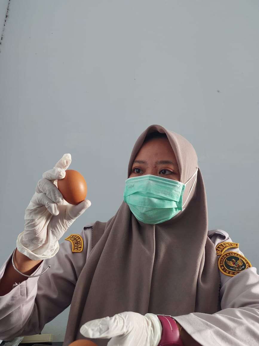 Karantina Pastikan Telur Yang Masuk Merauke Aman Dikonsumsi