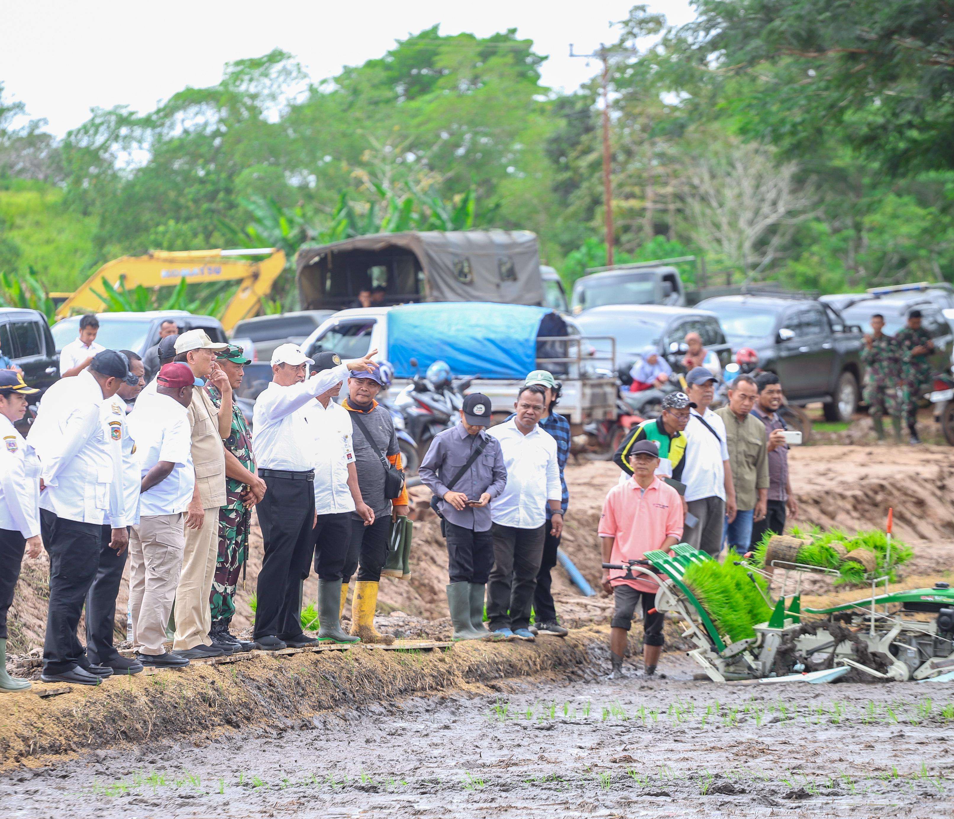 Merauke Disiapkan Jadi Pusat Ketahanan Pangan Timur Indonesia
