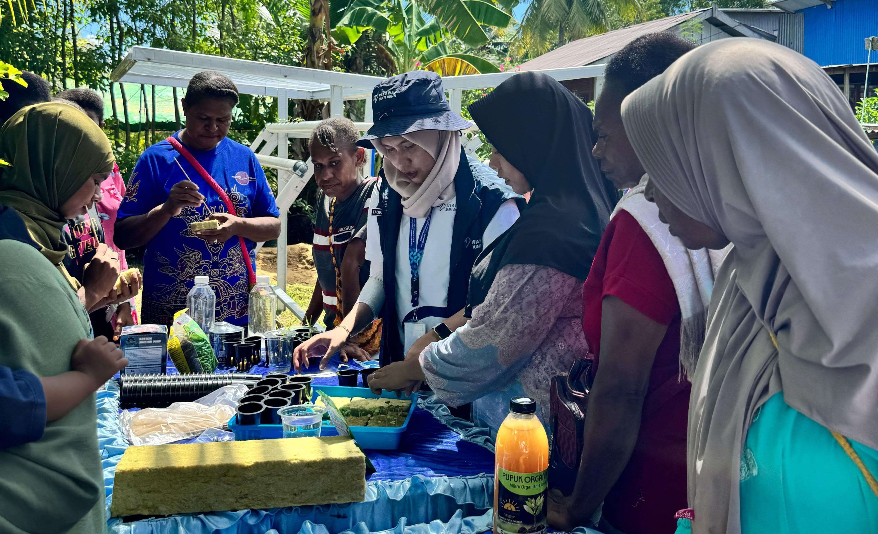 Pertamina Berupaya Tingkatkan Keterampilan Pertanian Hidroponik di Merauke