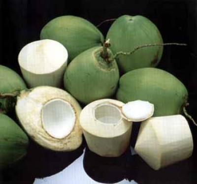 Buah kelapa